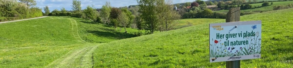 Sønderdalens Grundejerforening i Vinding, Vejle